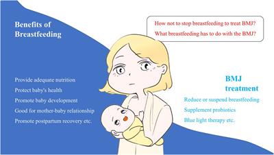 Breastfeeding vs 2024 not breastfeeding